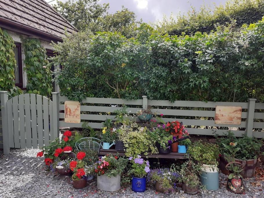 Oakey Orchard - Cosy Apartment In Tamar Valley, Cornwall Saint Dominick Exterior foto